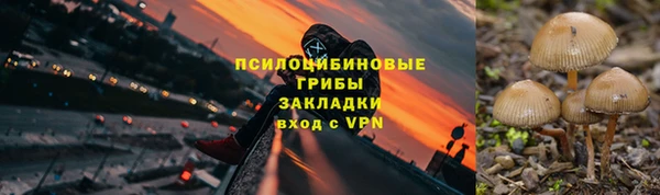 мяу мяу мука Куйбышев