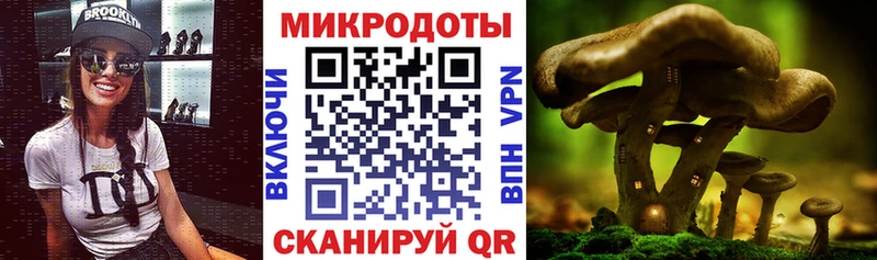 Купить где  Белая Холуница  Псилоцибиновые грибы мухоморы 
